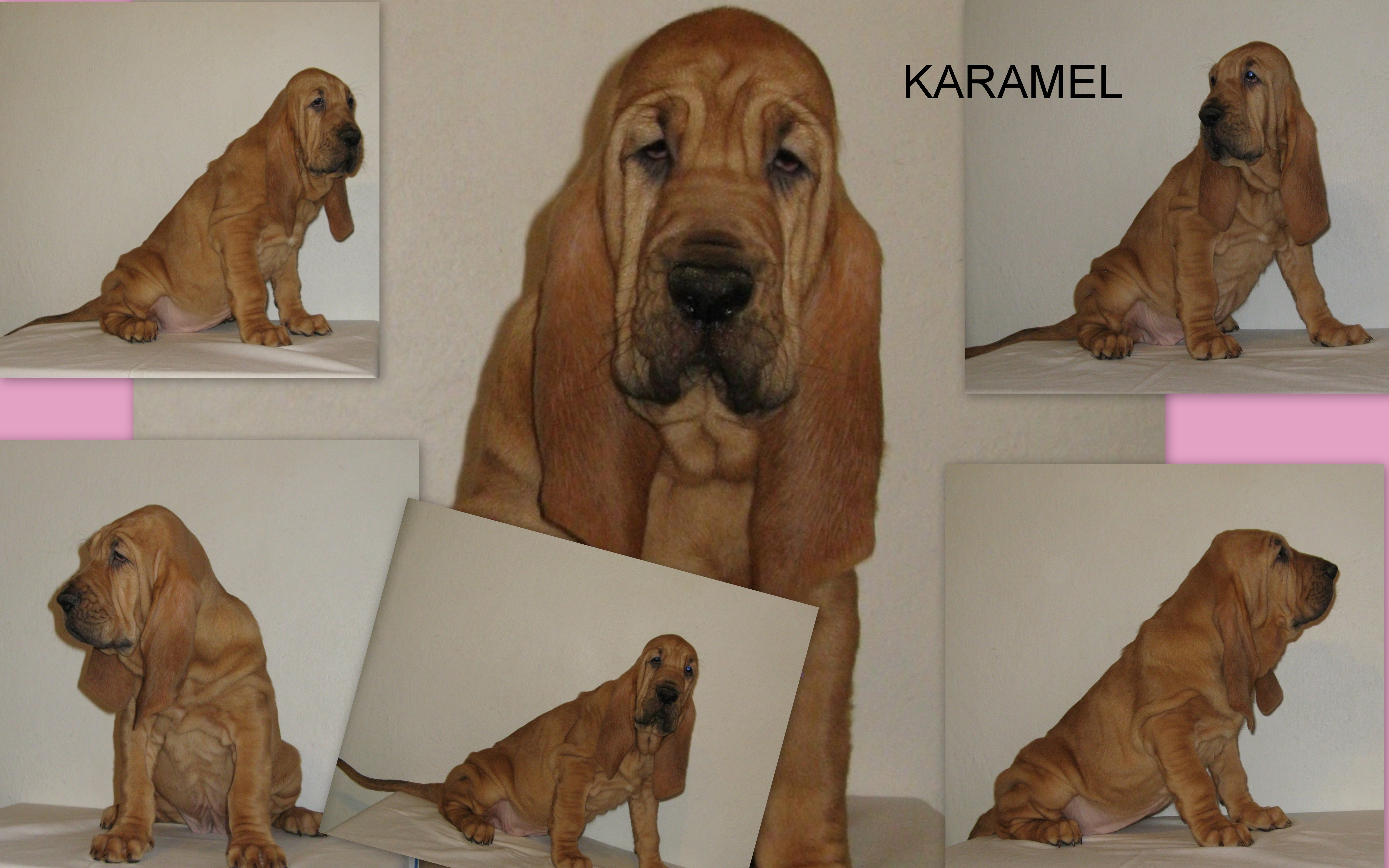 Karamel 9 týdnů